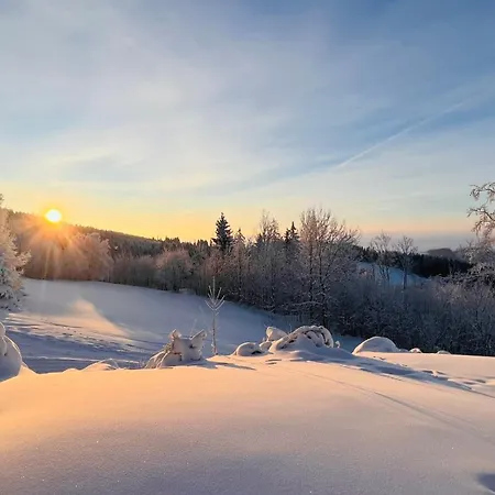 Four Seasons In 게스트하우스 4*